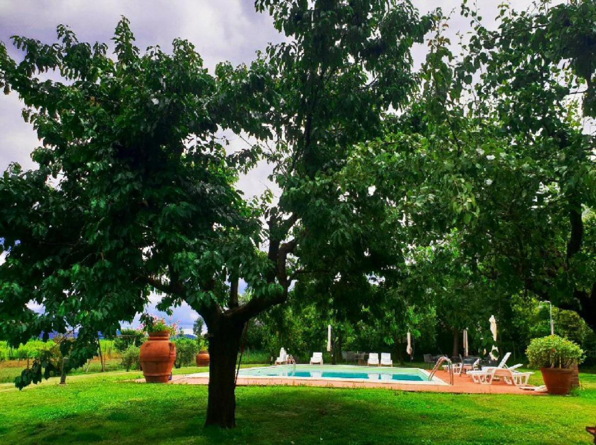 Agriturismo Il Sole Verde Bucine Exterior foto